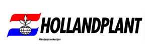 hollandplant